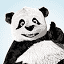 图片压缩1 icon